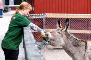 Nordjysk zoo får nye ejere