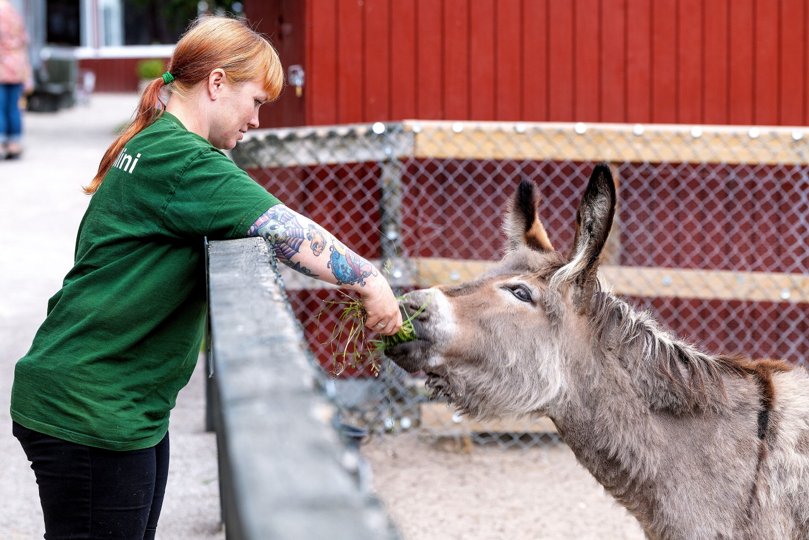 Efter knap 14 år med de samme ejere får den lille zoo i Hobro nyt ejerskab. Foto: Torben Hansen