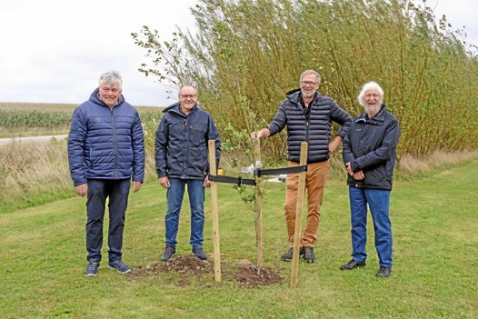 De tre tømrere, Claus Poulsen, Anders Jensen og Jens Frederiksen, sammen med Erland Knudssøn Madsen ved kunstnerens nyplantede egetræ, "Erlandegen". Foto: Kristian Amby/thybilleder.dk