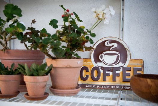 Lene tager ofte med sin familie og forretningens rister rundt i verden og smager på kaffe. Herefter udvælger de, hvilke produkter de vil købe hjem til cafeen. Foto: Henrik Bo <i>Foto: Henrik Bo</i>