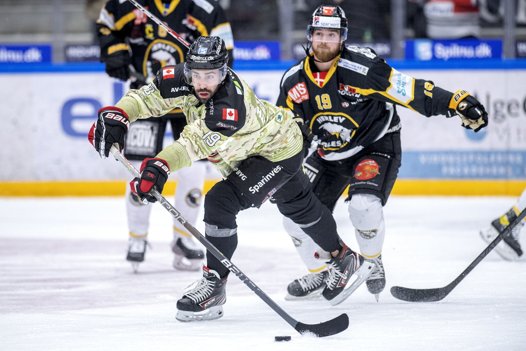 Pierre-Olivier Morin er i gang med sin fjerde sæson for aalborgenserne. Arkivfoto Lars Pauli <i>Foto: Lars Pauli</i>