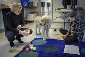 Hund aktiv del af hverdag for skole-klasse: Fungerer som pædagogisk medhjælper på deltid