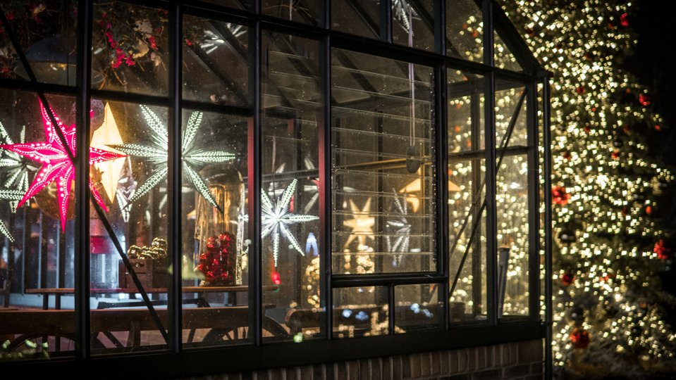 Jul i Zoo bliver i år et gastronomisk mekka. Foto: Aalborg Zoo
