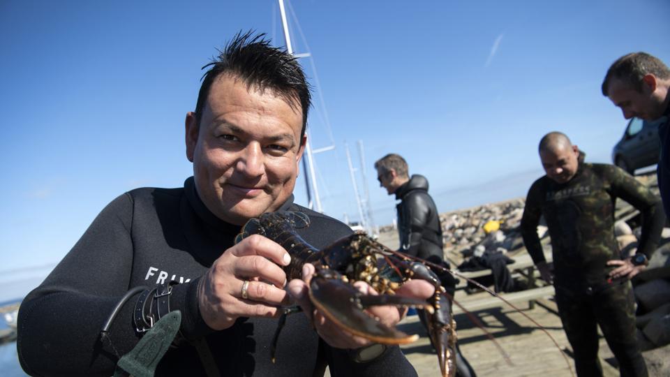 Jesper Kondo - med én af de hummere, som lørdag blev hentet op fra Limfjorden af fridykkerne. Foto: Mette Nielsen
