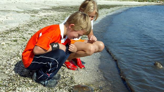 Der skabes oftest venskaber mellem børnene på feriekolonierne. <i>Privatfoto</i>