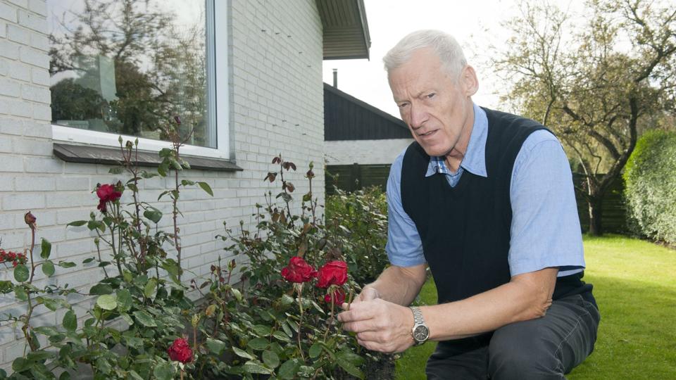 65-årige Viggo Rasmussen har fredag 28. september sidste arbejdsdag som økonomikonsulent på LandboNord i Brønderslev. Foto: Kurt Bering <i>Kurt Bering</i>