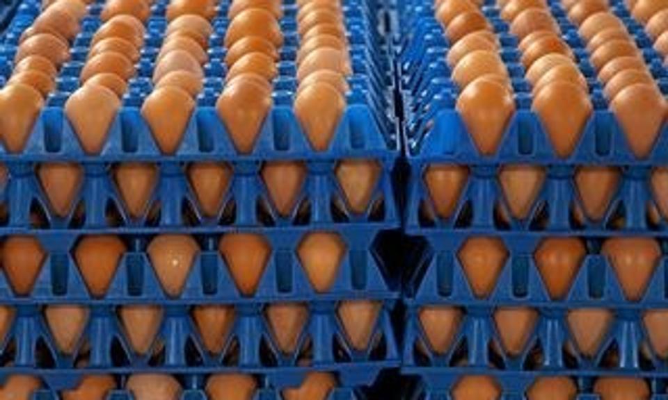 Nordjysk baserede Hedegaard Foods blev med købet af Svenska Lantägg sidste år Nordens ledende æg-virksomhed.