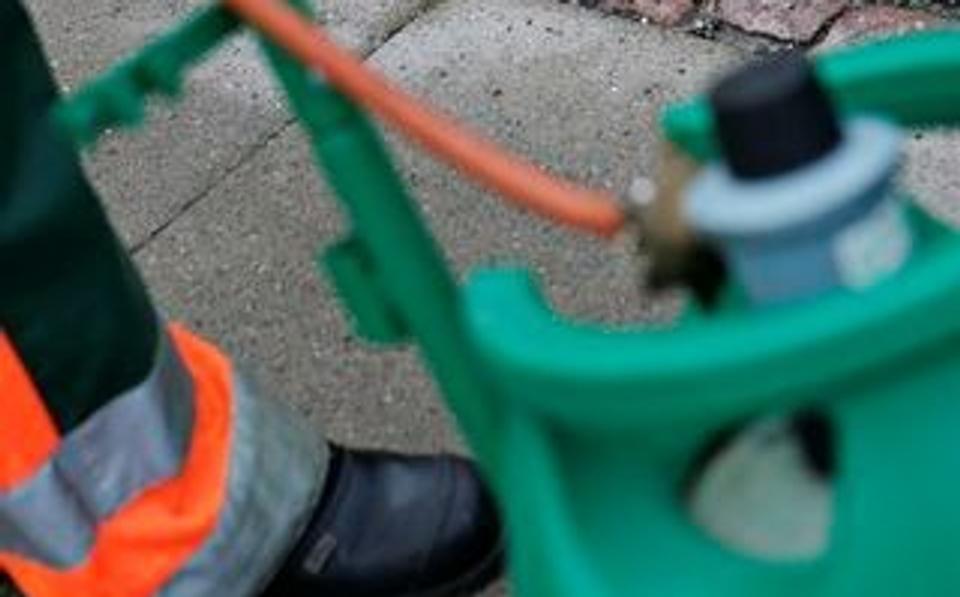 Hvis det eneste problem er, at man er ledig, så skal unge i Mariagerfjord fremover arbejde for deres kontanthjælp. En af "jobmulighederne" kan blive at holde ukrudtet i ave på kommunens grønne arealer. ?Foto: Grete Dahl