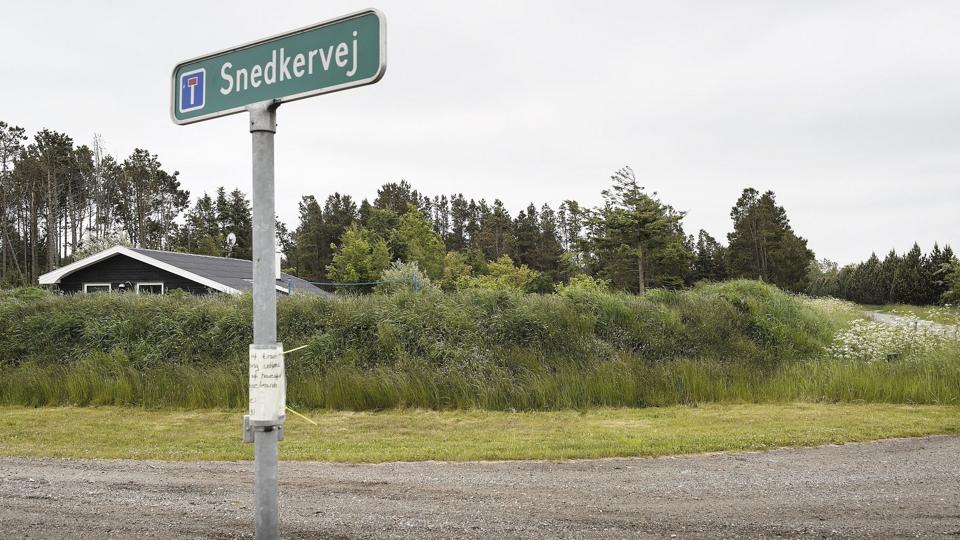 Jordvoldene langs Snedkervej og Foldenvej skal beplantes med egnstypiske planter. Foto: Peter Broen <i>Peter Broen</i>