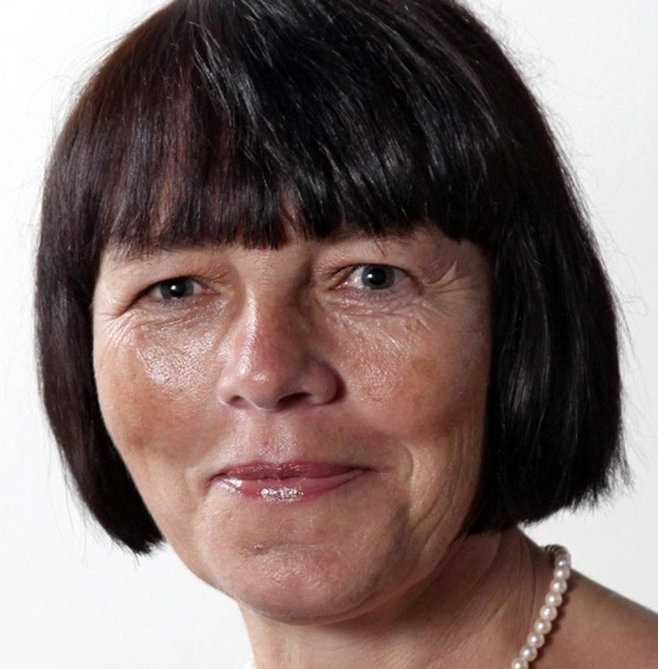 Formand for beskæftigelsesudvalget, Gitte Krogh (V).