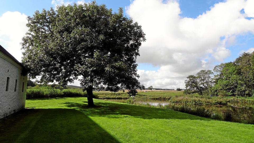 Omgivelserne ved Knivholt er perfekte til sankthansbål, og især er der meget idyllisk omkring søen med den lille ø, der skal være bålplads. Privatfoto
