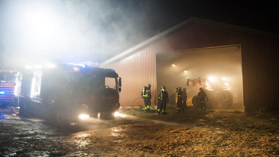 Det var en bunke snittet halm, der var ild i, da Thisted Brandvæsen fredag aften blev kaldt til en brandtruet kostald på en gård ved Nors.? Foto. Diana Holm <i>diana.holm@nordjyske.dk</i>