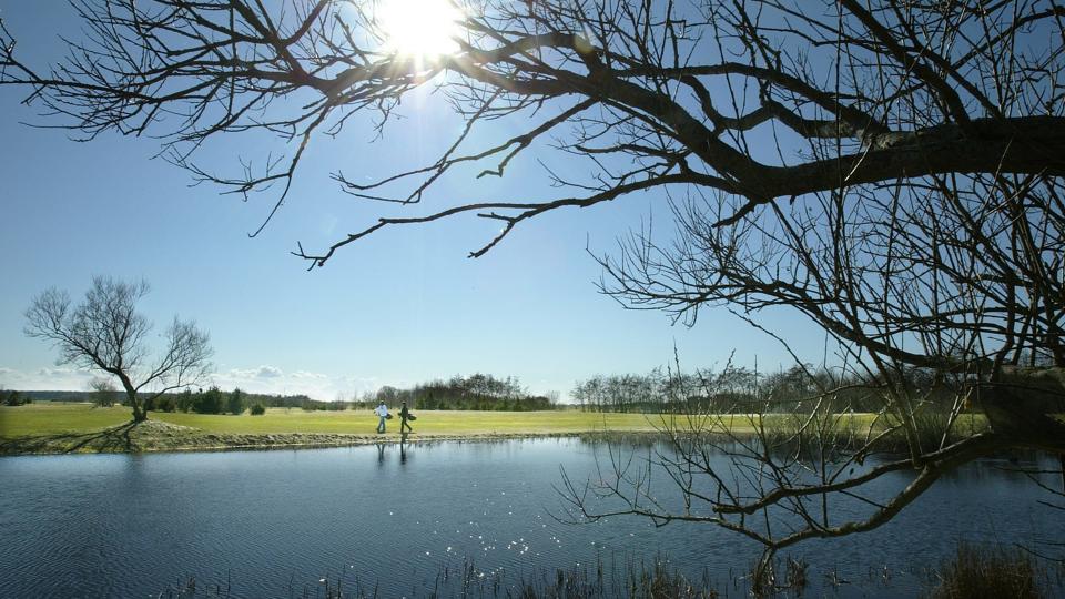 Aabybro Golfklubs smukke baneanlæg. Arkivfoto: Jens Morten