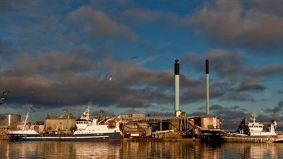 Mørke skyer over Fiskernes Fiskeindustri. Virksomheden har været nødt til at afskedige medarbejdere som følge af en kraftig beskæring af tobis-kvoten. Arkivfoto: Bo Hellum