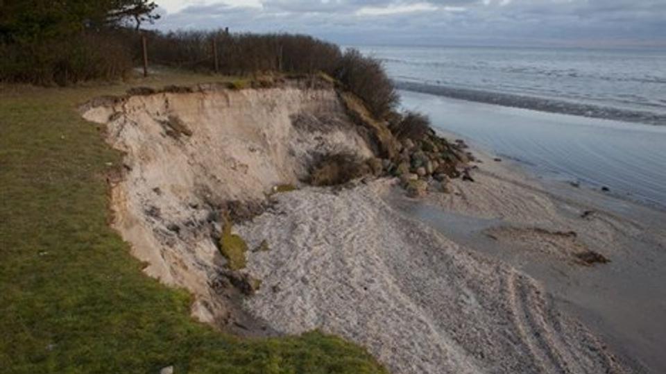 Havet gjorde kraftigt indhug i kystskrænten ved Solsbækvej i vinter.Foto: Carl Th. Poulsen