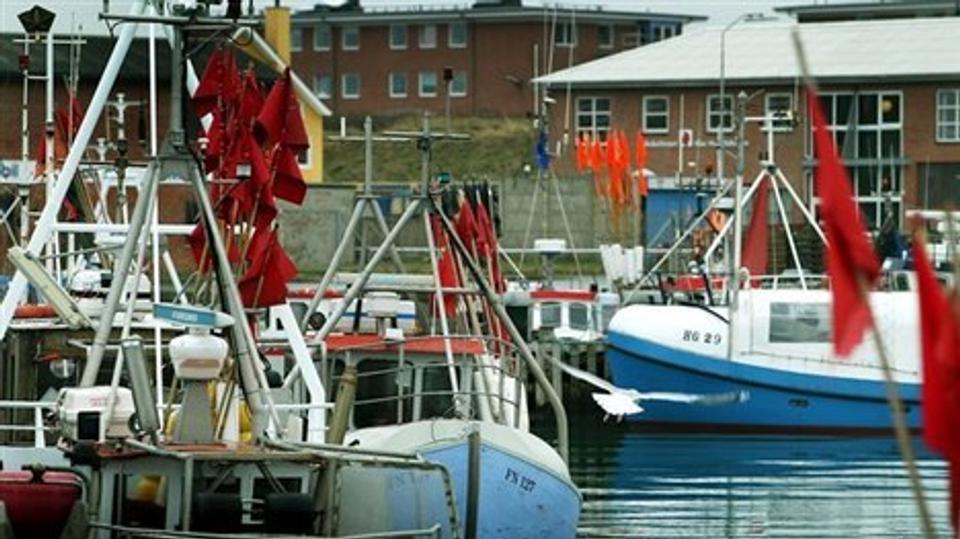 Kontrol afslørede uregelmenteret salg og transport af fisk fra havnen i Hirtshals. Arkivfoto: Bent Bach