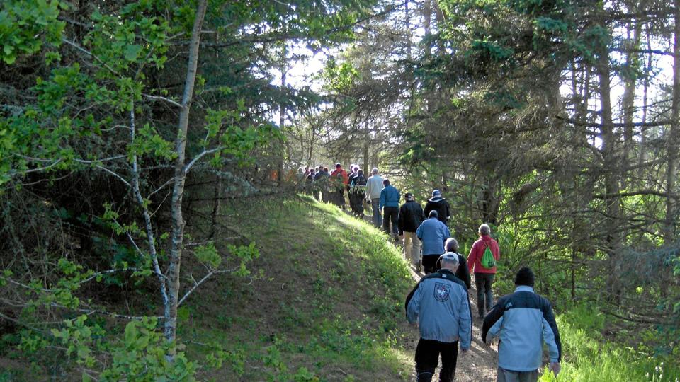 Deltagerne på en skovsti.