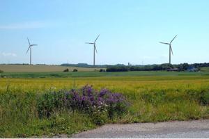 Byråd skal stemme om vindmøller