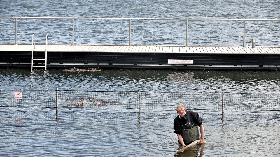 Aalborg Havn
Havnebadet rengøres inden sæsonstart
Foto Claus Søndberg