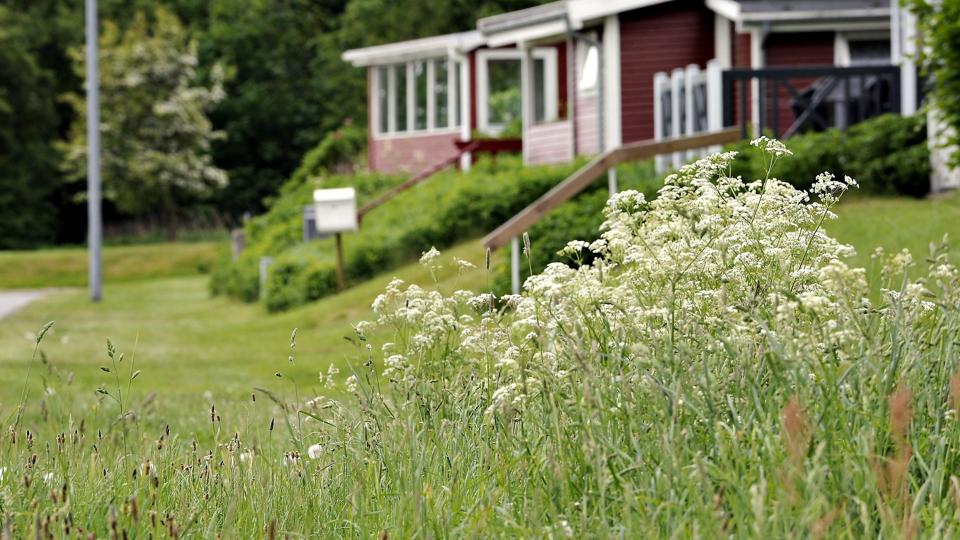Galleri - Tryk og se alle billederne.
