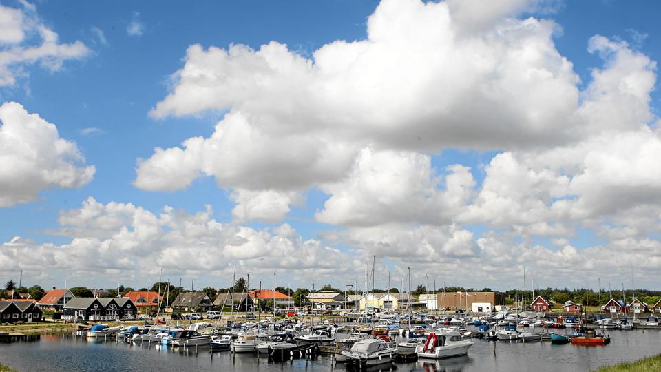 Det lysner for Hou Havn. Den selvejende institution har fået bugt med forureningen. Foto: Allan Mortensen <i>Allan Mortensen</i>