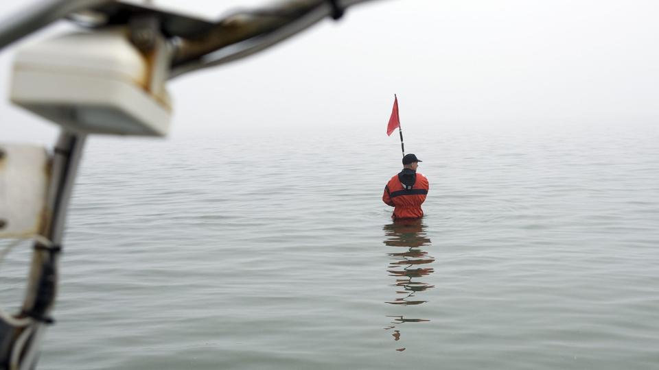 Der var fangst for fiskerikontrollen, der tidligt onsdag morgen var på Mariager Fjord.
Arkivfoto <i>Pressefotograf Kim Dahl Hansen</i>