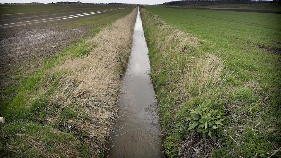 At vandplanerne nu bliver taget af bordet, får konsekvenser for tusindvis af landmænd og andre lodsejere over hele landet. <i>Foto: Peter Mørk</i>