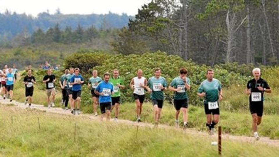 Arbejdet med 2012-udgaven af Nationalpark Thy Marathon er i fuld gang - blandt andet i vished om, at der i år er mange frivillige ressourcer at trække på. Billedet er fra sidste års løb.Foto: Jens Fogh-Andersen
