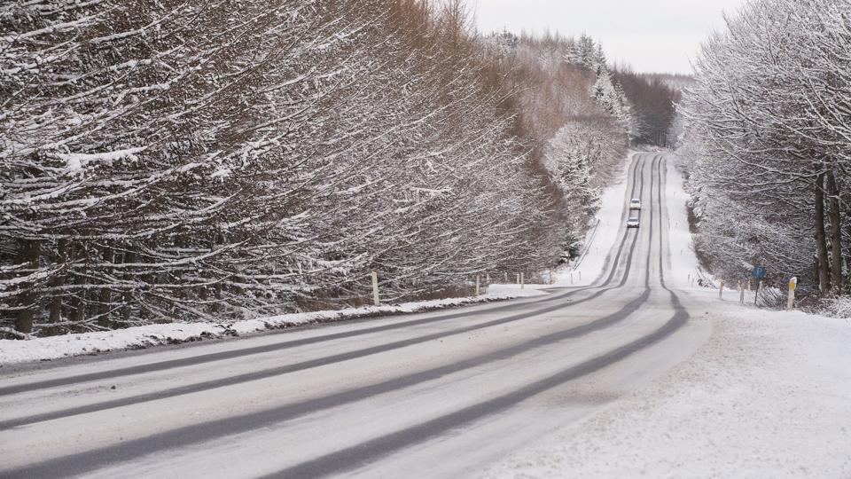 Sne her i Rold Skov. Foto: Grete Dahl
