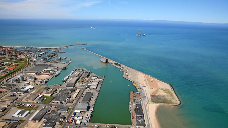 Alle gode kræfter på havnen i Hirtshals vil samarbejde om at skaffe flere fisk til byen. Foto: