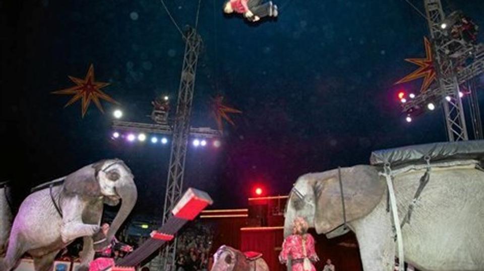 Kun 15-årige Rene Casselly jr. flyver i guld-nummeret fra Monte Carlo.