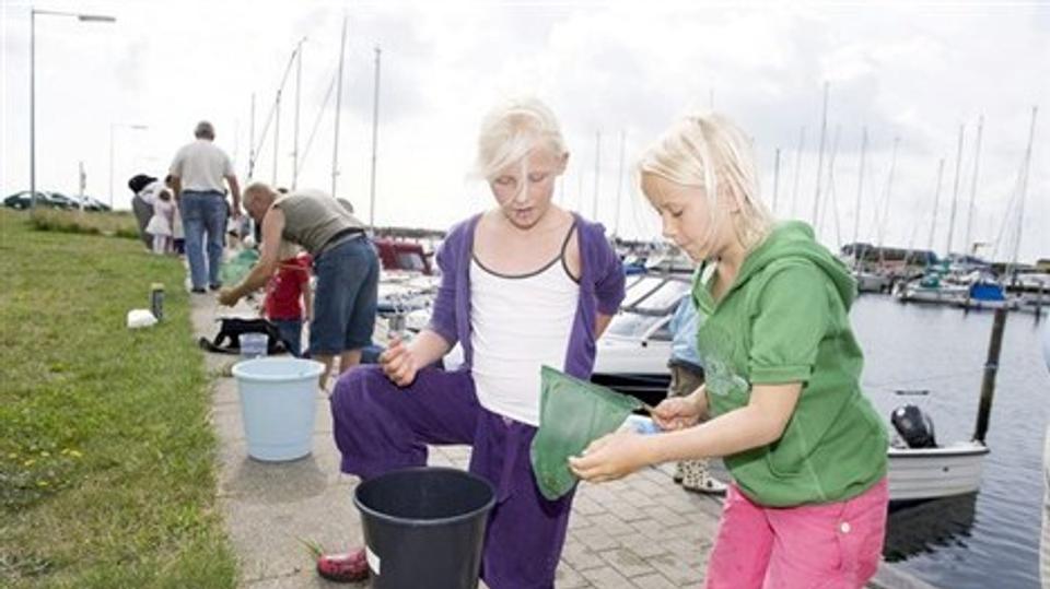 Det unikke miljø på havnen skal udnyttes.Arkivfoto: Bente Poder