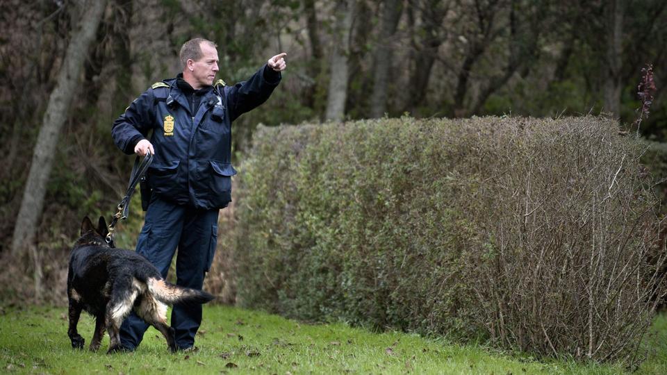 En af politiets hundepatruljer snuste sig frem til gerningsmændene til et indbrud i Gug natten til onsdag. Arkivfoto
