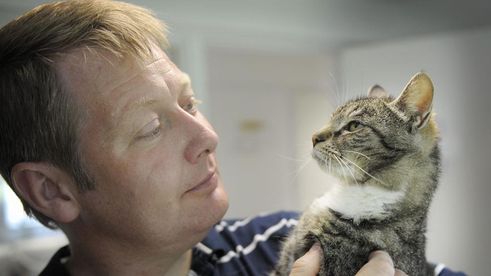 For mange katte er ikke øremærket. Internatsleder hos Kattens Værn, Christian Poulsen, mener, at det burde være lovpligtigt. Arkivfoto: Michael Bygballe. <i>Michael Bygballe</i>