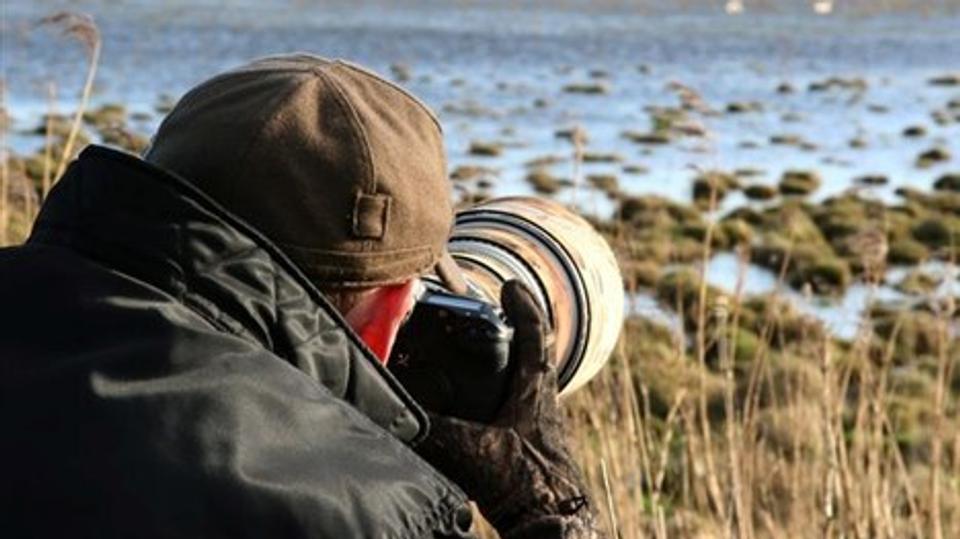 Iagttagelser fra naturen i Nationalpark Thy kan nu deles med andre, blot man opretter sig som bruger på den hjemmeside, hvor iagttagelserne skal indberettes. Her er der også mulighed for at lægge billeder ind.Arkivfoto: Diana Holm