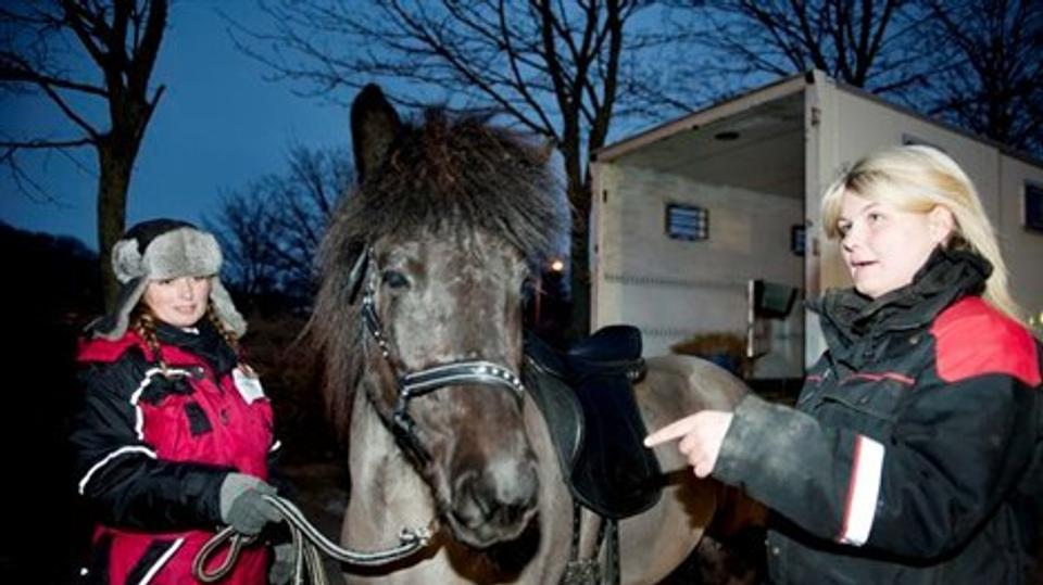 Galleri - Tryk og se alle billederne.