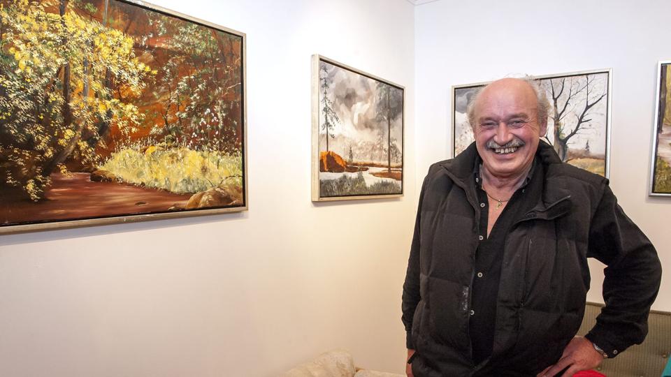 Billedet her bagved kalder jeg "tågen letter" når så folk siger der er da ingen tåge, siger jeg bare - det er jo det jeg lige sagde, den er lige lettet.... maleren Mogens Hellum er en spøgefugl. Billederne stammer alle fra Sæbygård skov. Foto Kim Dahl Hansen