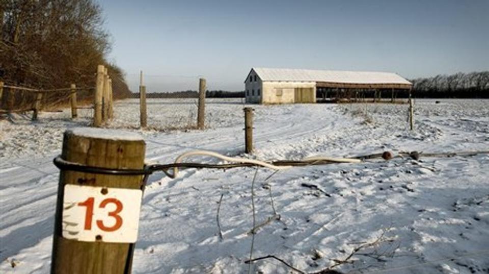 - Det er uacceptabelt at tilsidesætte de naturværdier, som kommunen selv har beskrevet i helhedsplanen, siger Søren Rosenberg, formand for Danmarks Naturfredningsforening i Jammerbugt. Foreningen fremhæver, at de græssede enge i Sandmosen (billedet),