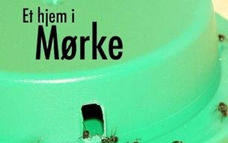 Galleri - Tryk og se alle billederne.