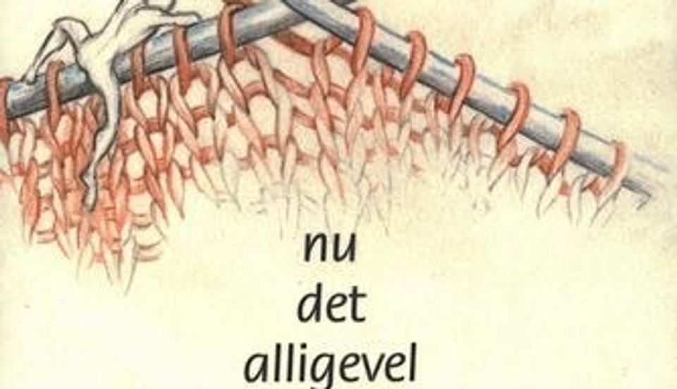 Det kan også blive for meget med alt det hverdagsliv mener vor anmelder. Bogens forside.