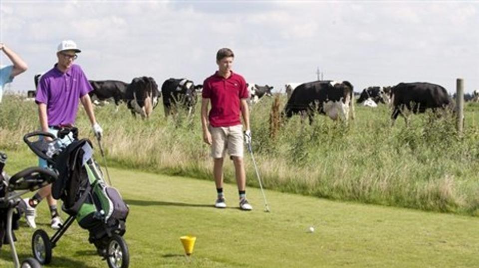 Golfklubben lukkes ud fra 16 hektar, så længe man ikke må spille mellem gravhøjene. Det har givet trængsel på anlægget og nabostridigheder ved hul 17. Arkivfoto: Grete Dahl