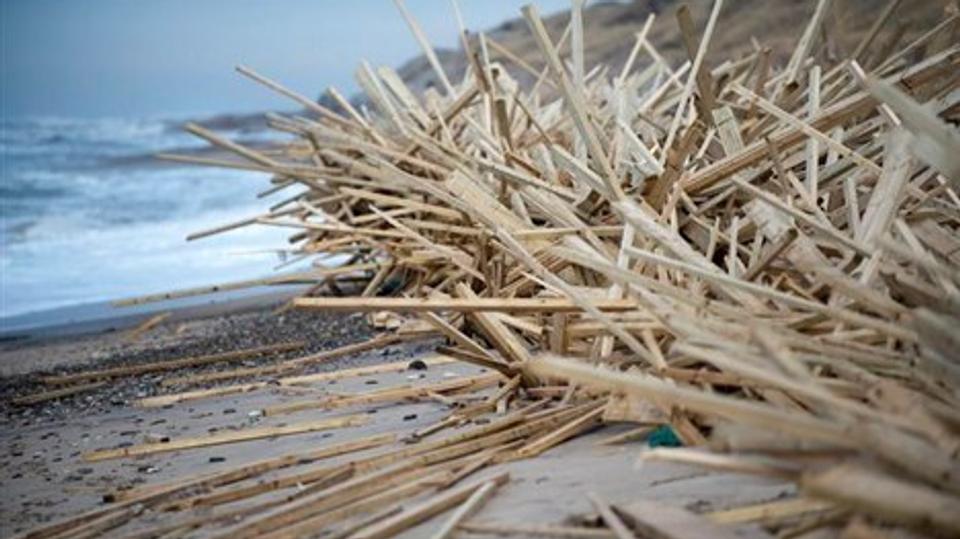 Ejeren vil ikke gøre krav på tømmeret på stranden ved Lyngby. Derfor planlægger politiet og strandfogeden nu en auktion - eller anden form for salg - af strandingsgodset.Arkivfoto: Diana Holm