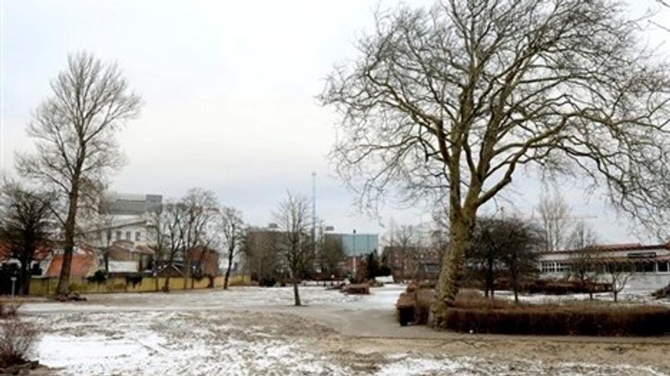 Sådan ser Karolinelund ud i dag, men inden parken åbner til sommer, skal kommunen bl.a. så græs og renovere toiletterne. Foto: Henrik Bo