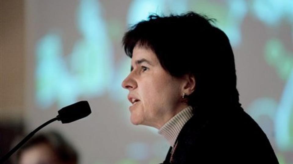 Formanden for regeringens klimakommission, Katherine Richardson, kommer til Støvring onsdag 8. februar. Arkivfoto