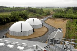 Morsø Bioenergi får international ejer