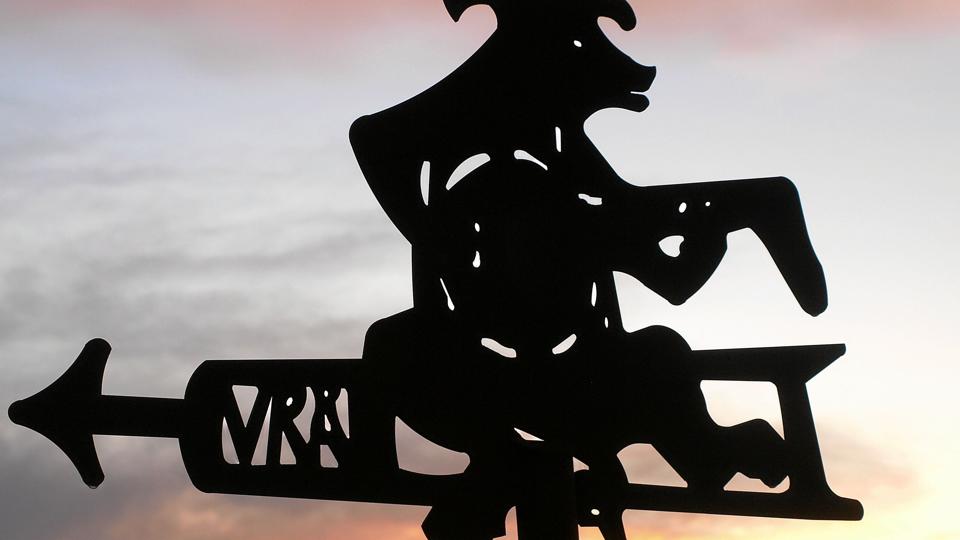 Den lutspillende gris.Arkivfoto <i>Arkivfoto.</i>