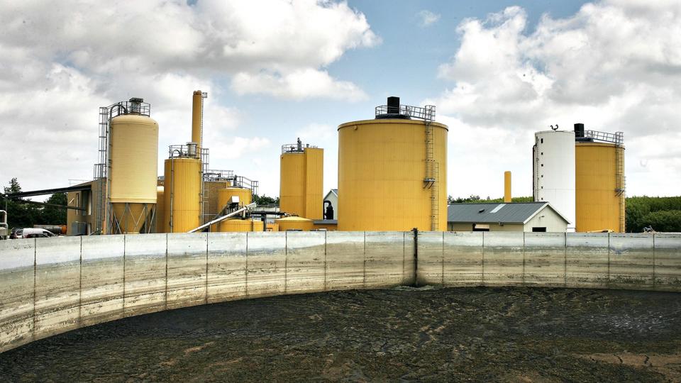 Borgerne i Thorup ønsker ikke et biogasanlæg i nabolaget - sporene fra anlægget Krogenskær i Brønderslev skæmmer.Arkivfoto <i>Bent Bach</i>