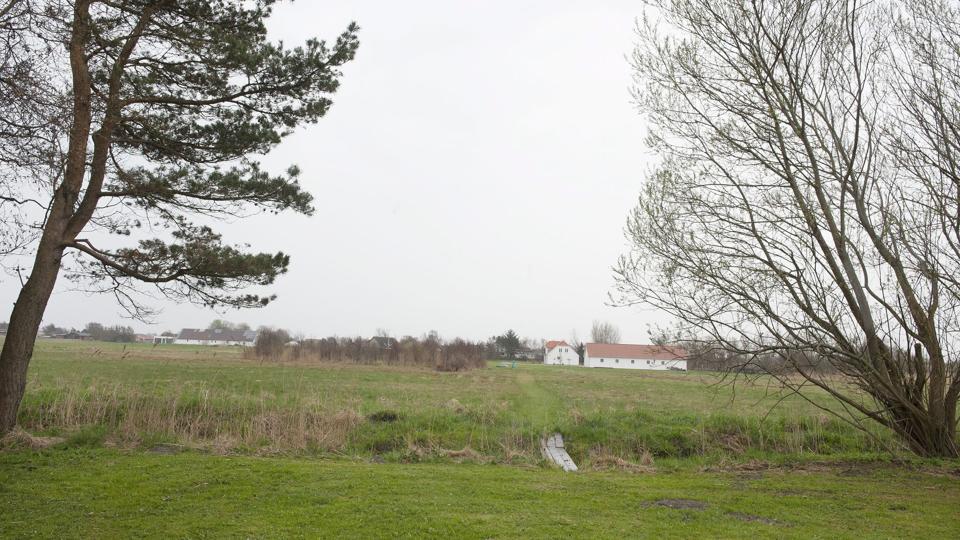 Det er i dette område nord for Strandby, kommunen nu vil lave nyt parcelhuskvarter. Foto: Grete Dahl <i>Foto: Grete Dahl</i>