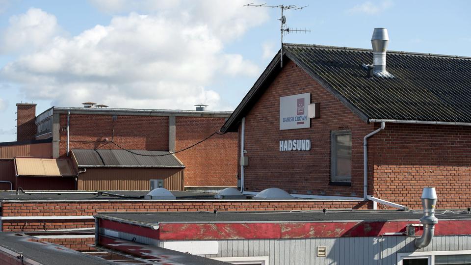 Lukningen af Danish Crowns afdeling i Hadsund betyder formentlig, at der skal bygges boliger og butikker på arealet.Foto: Henrik Bo <i>Foto: Henrik Bo</i>
