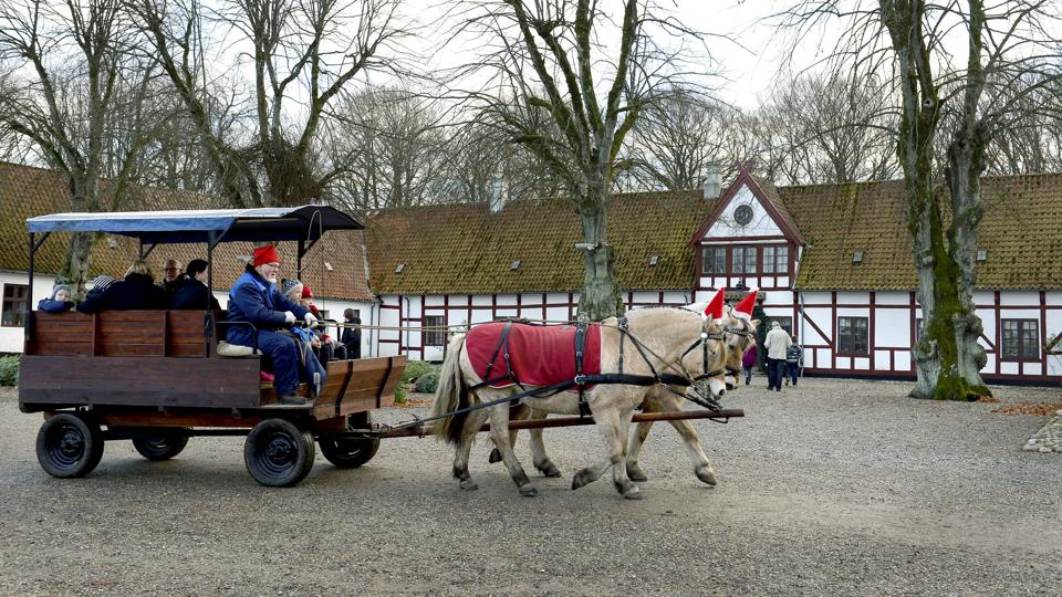 Klarupgaard er blevet kendt for sine mange juleaktiviteter, hvor kunderne både kunne købe træer og komme på en tur med hestevogn. Arkivfoto: Bente Poder
